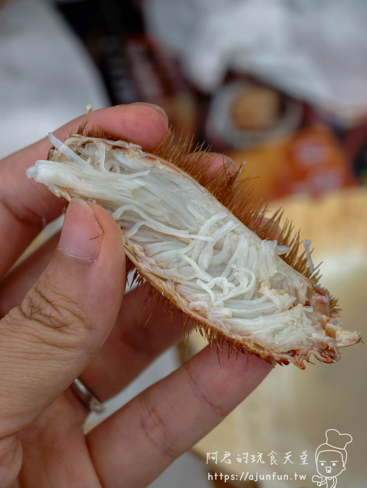 稲場魚介苑 北海道毛蟹蟹夾夾起大塊白色蟹肉 纖維結構清晰潔白 - 阿君的玩食天堂