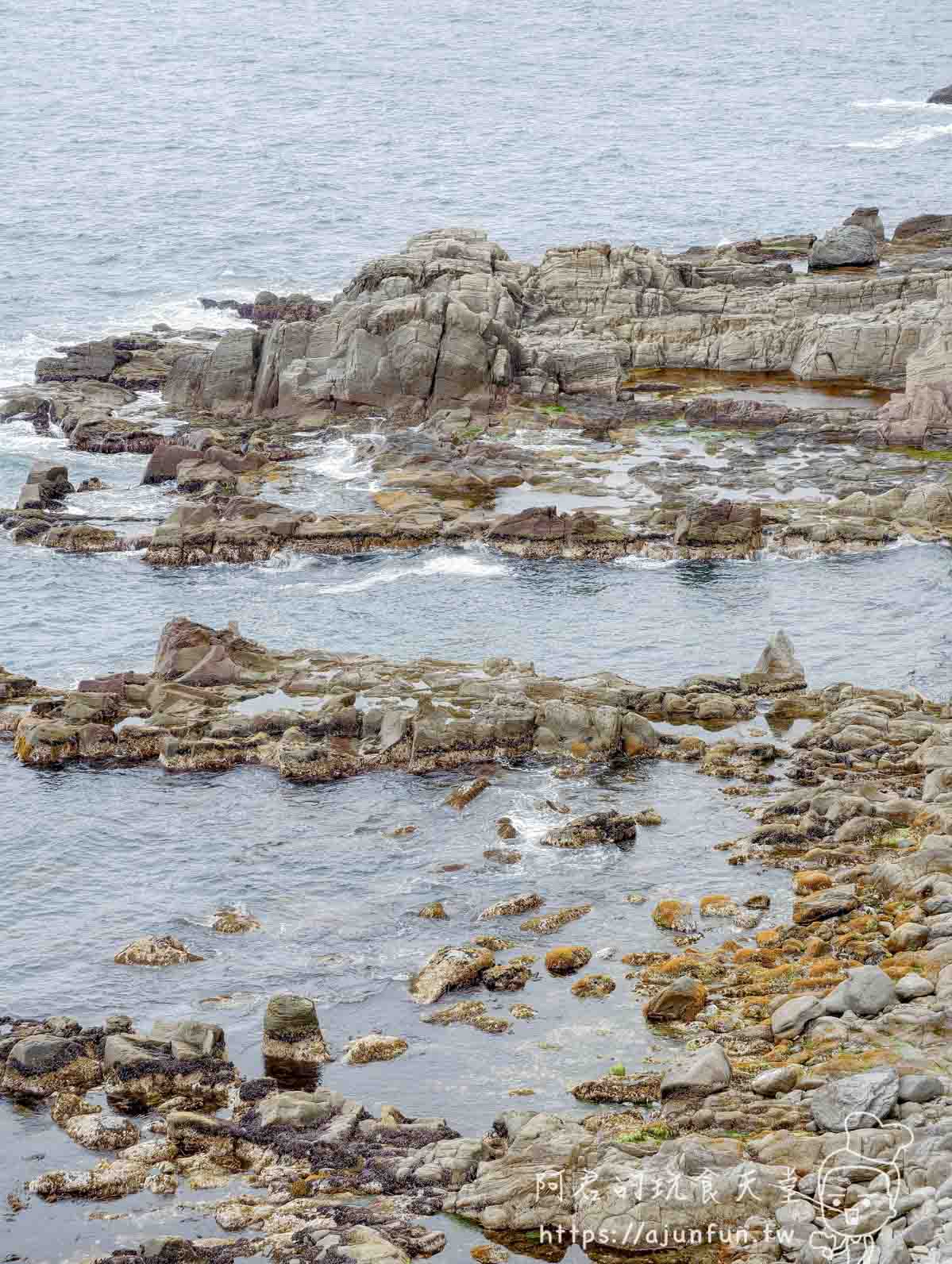 立待岬 海岸礁石與藻類特寫 - 阿君的玩食天堂
