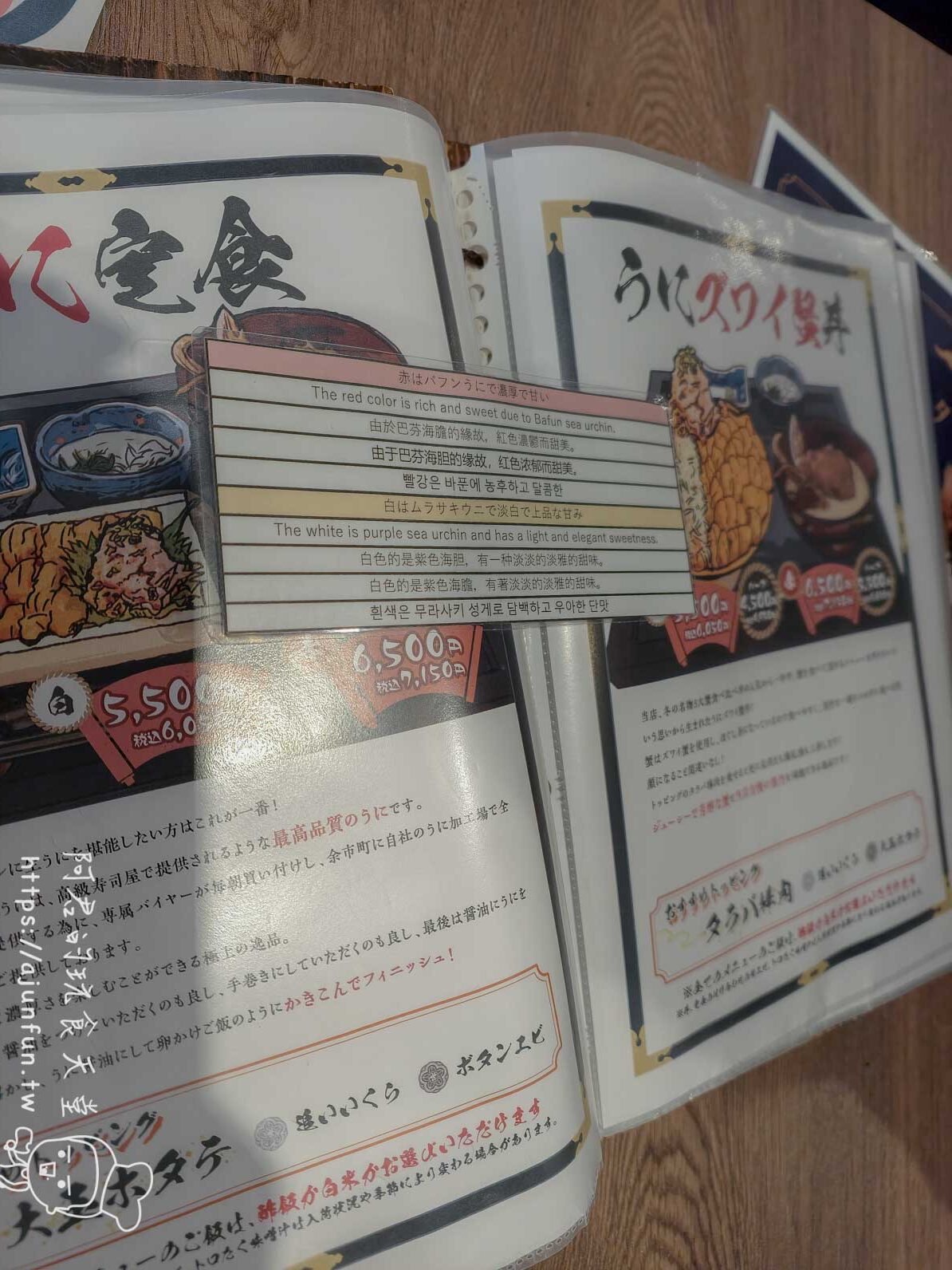 世壱屋函館朝市店 菜單攤開海膽知識頁多語言中英韓圖文並茂 - 阿君的玩食天堂