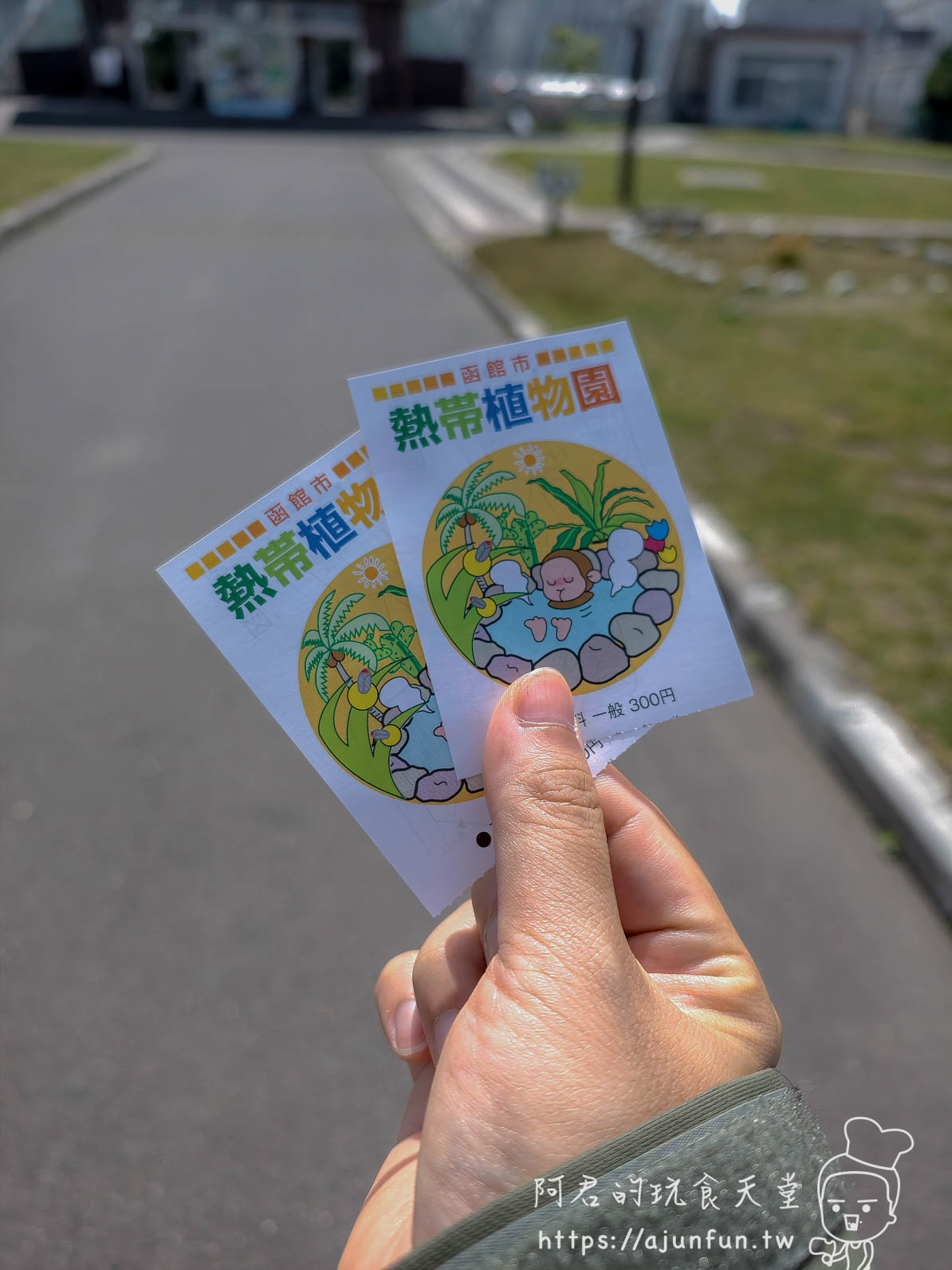 【函館景點】函館市熱帶植物園|泡湯猴攻略與值不值(2026) - 第1張圖 函館市熱帶植物園 入園票正面,300円,附泡湯猴插圖 - 阿君的玩食天堂