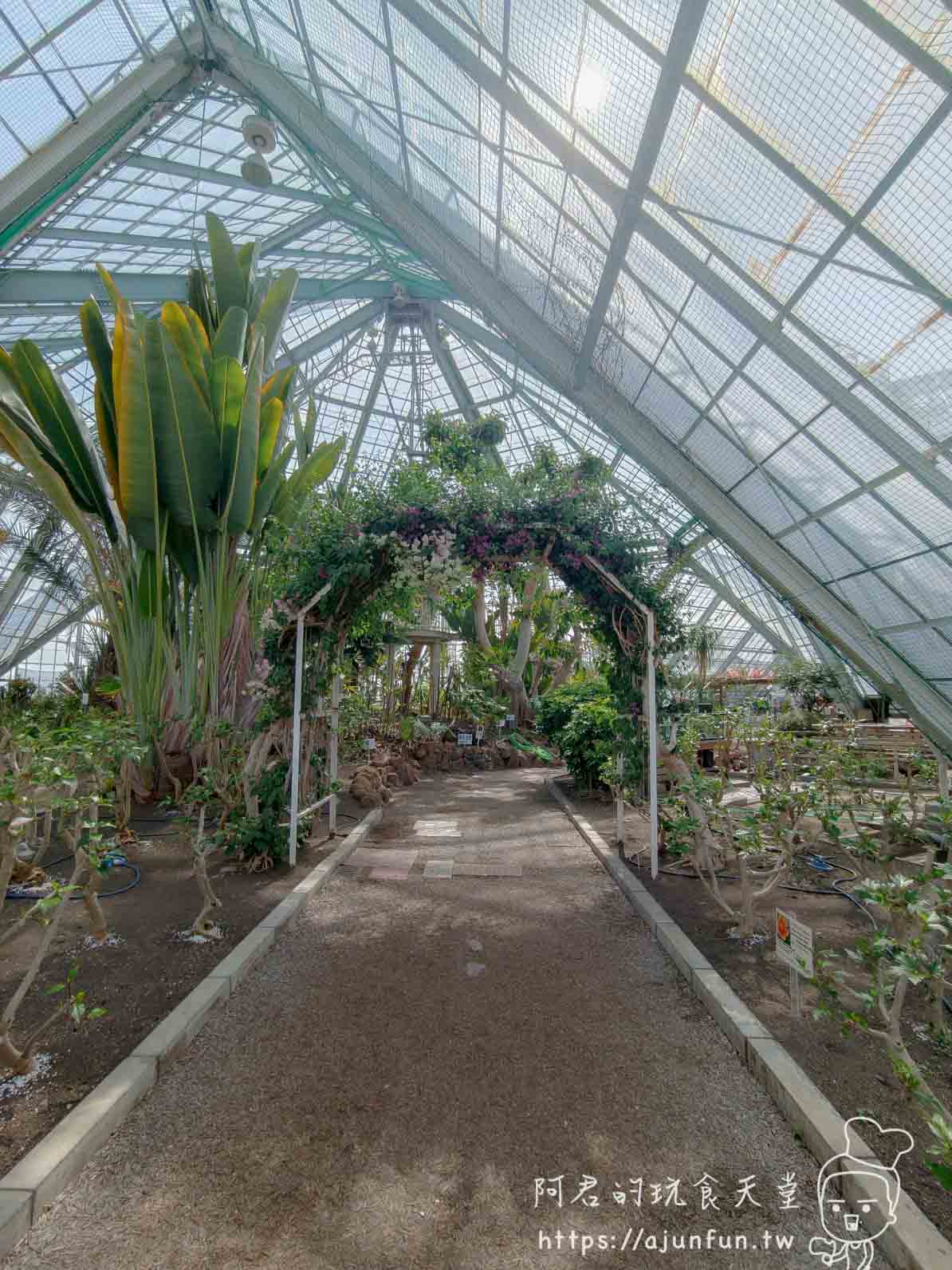 【函館景點】函館市熱帶植物園|泡湯猴攻略與值不值(2026) - 第12張圖 函館市熱帶植物園 溫室內碎石步道與紫花拱門 - 阿君的玩食天堂