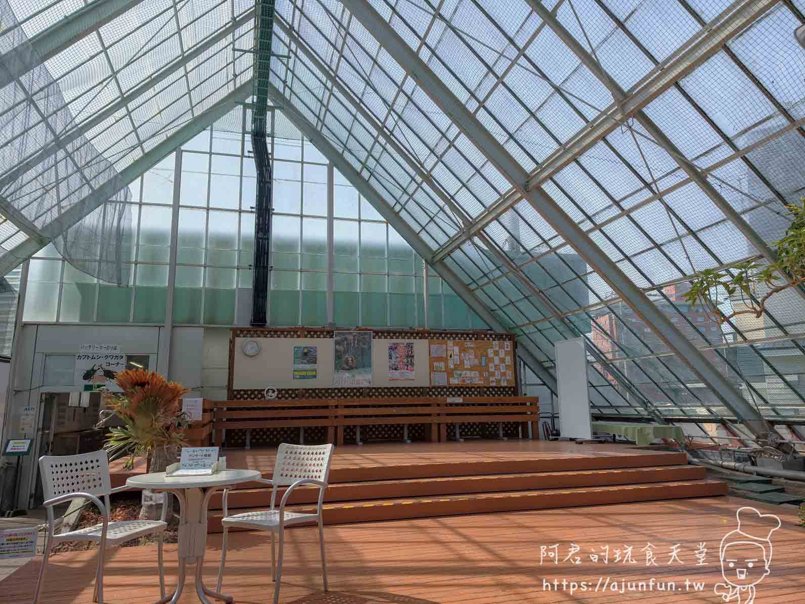 【函館景點】函館市熱帶植物園|泡湯猴攻略與值不值(2026) - 第19張圖 函館市熱帶植物園 溫室內部公共空間與甲蟲展示區 - 阿君的玩食天堂
