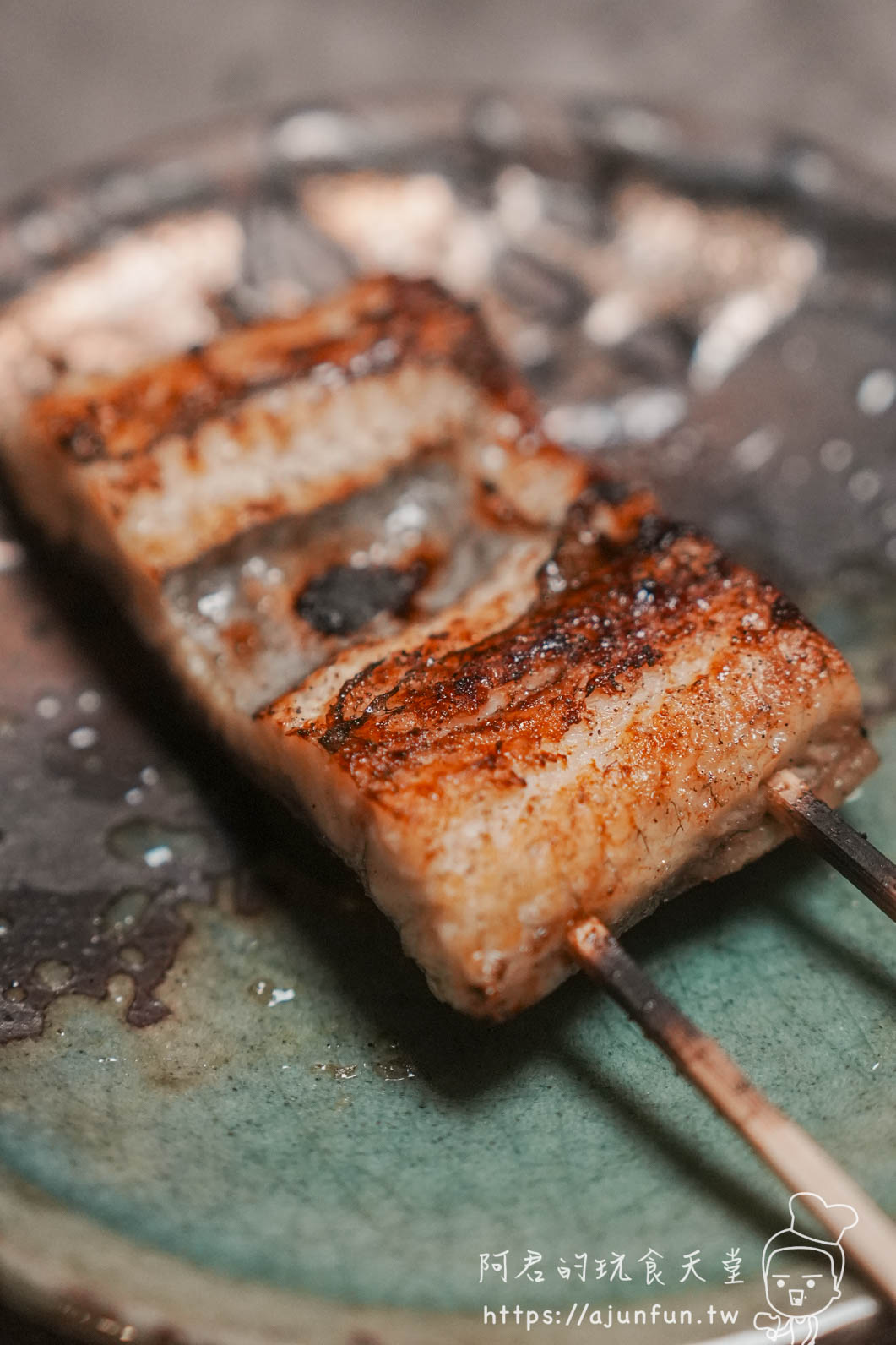 横浜焼鳥達磨台中崇德店 炭烤燒鳥串表面撒七味粉特寫 - 阿君的玩食天堂