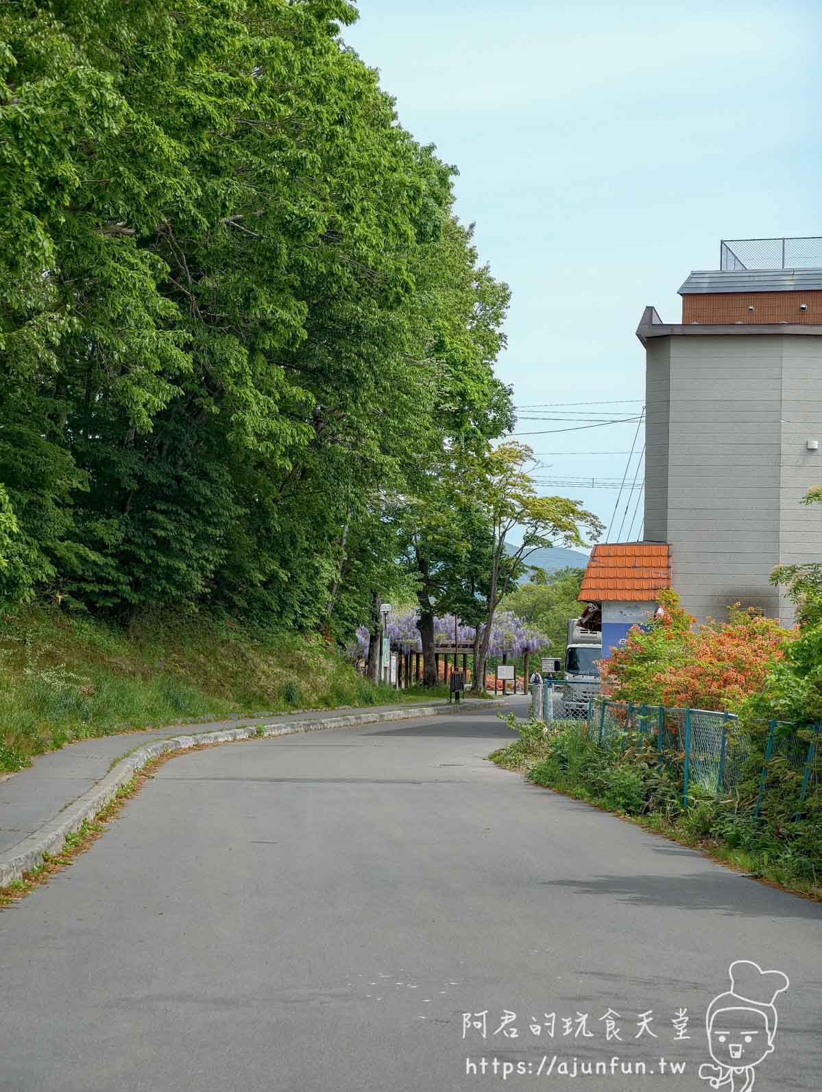 大沼公園 道路旁綠樹與遠方紫藤花棚景色 - 阿君的玩食天堂