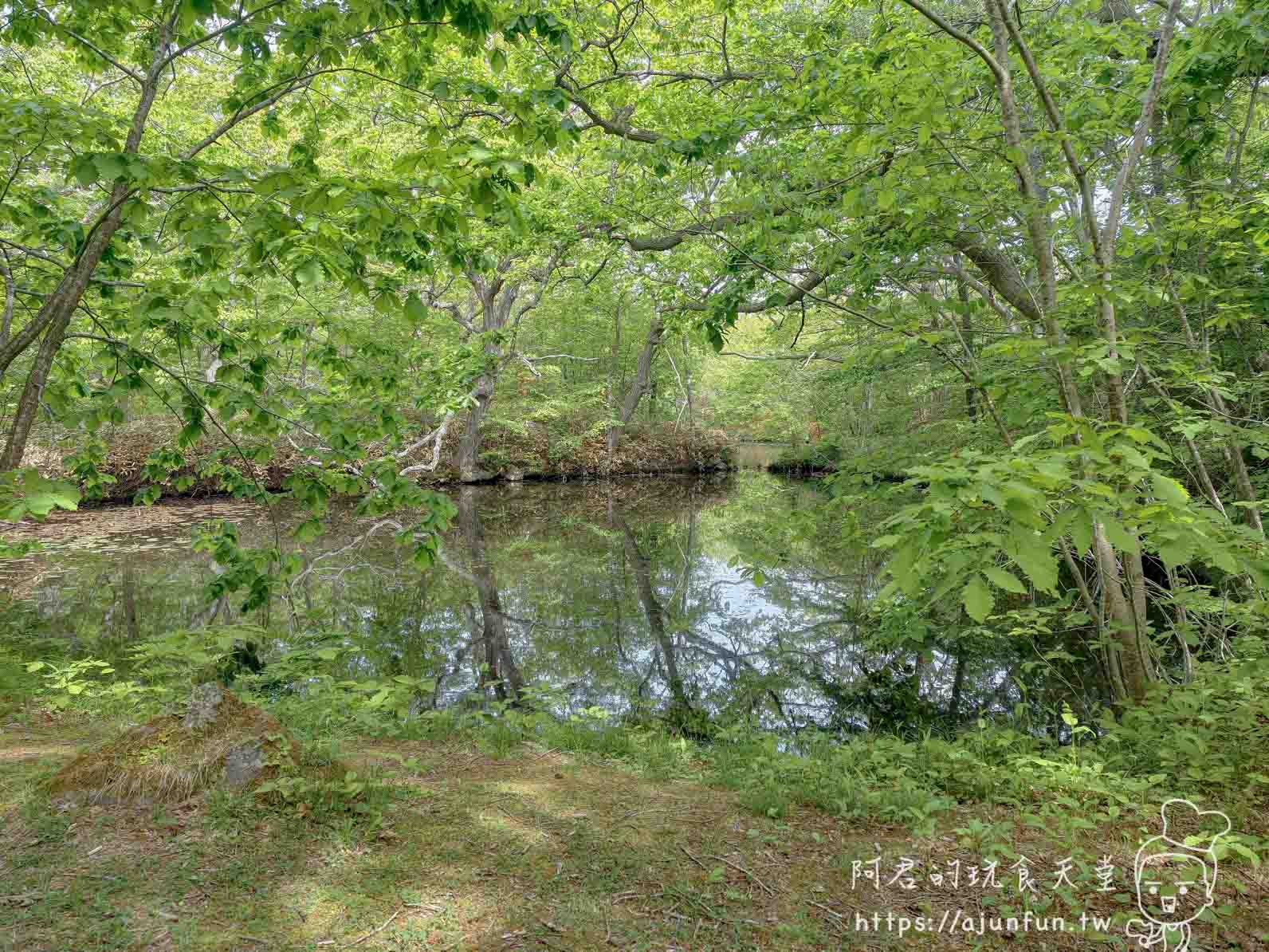大沼公園 樹林環繞的靜謐水池倒影景色 - 阿君的玩食天堂