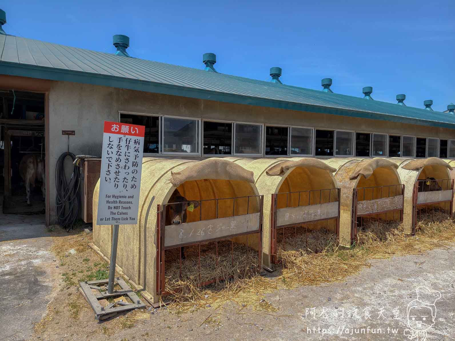 山川牧場（大沼ミルクプラント） 小牛欄與禁止觸摸告示牌 - 阿君的玩食天堂