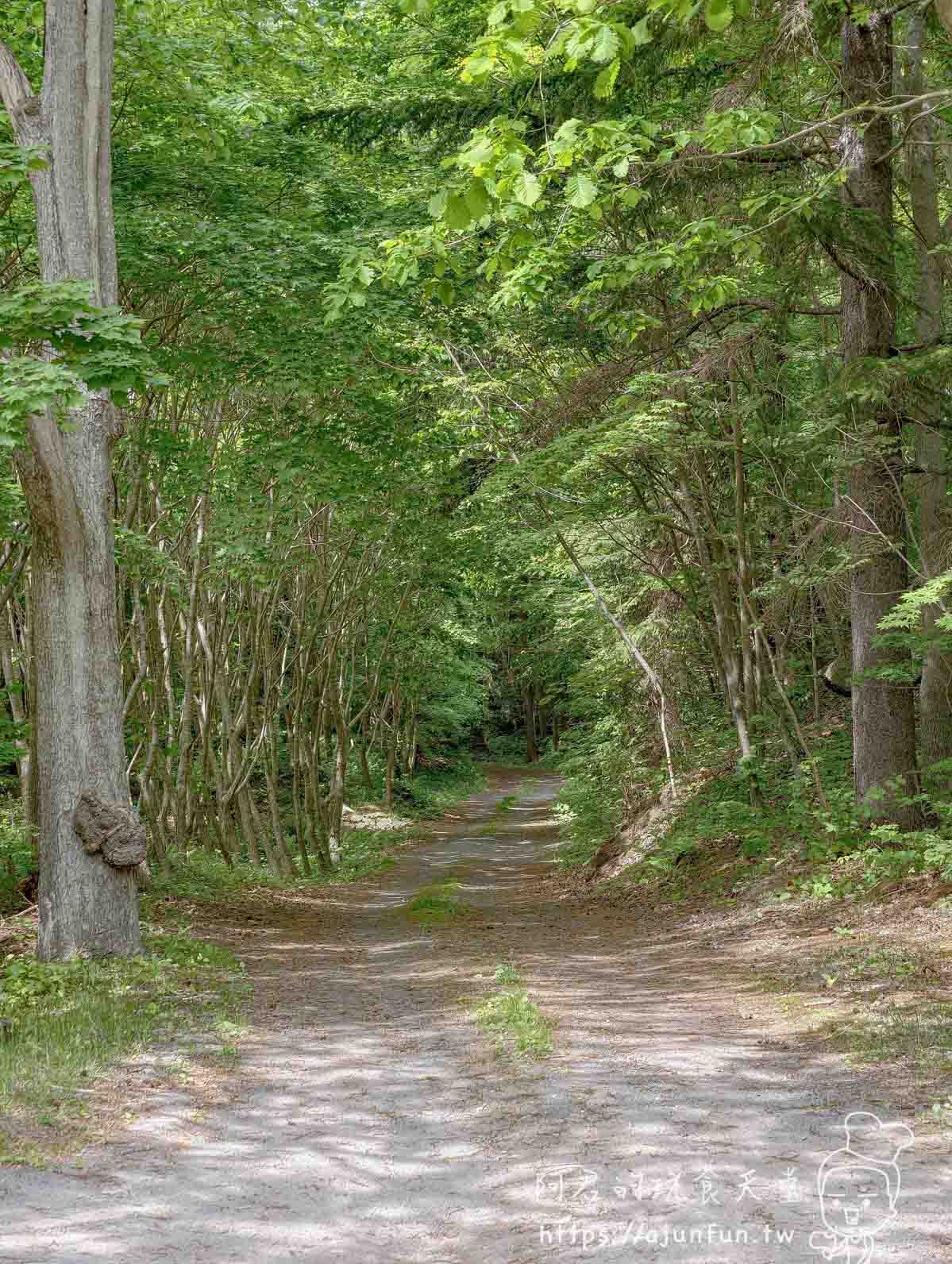 大沼公園 林間步道與綠色樹蔭隧道 - 阿君的玩食天堂