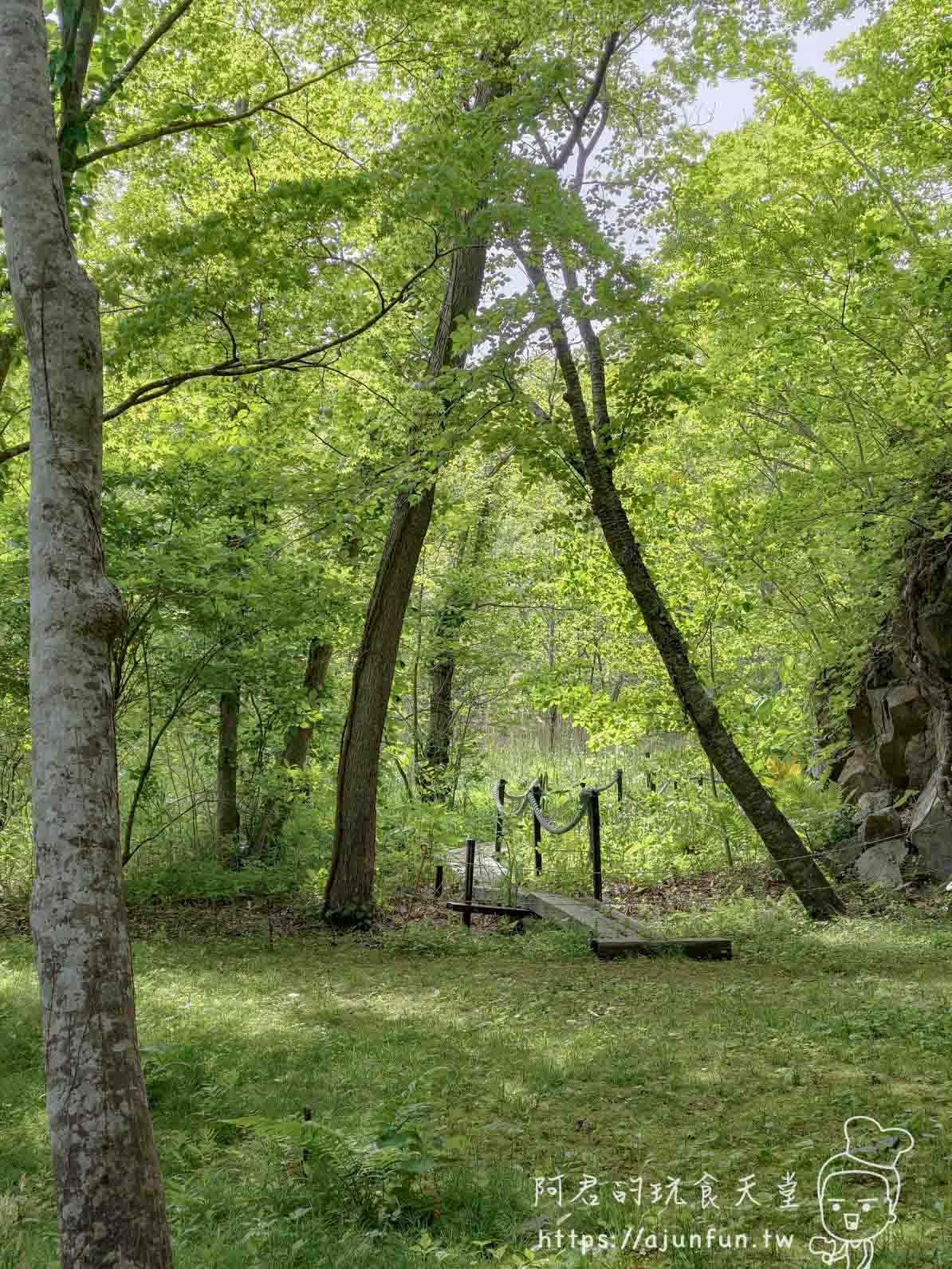 大沼公園 林間木棧道與繩索扶手步道景色 - 阿君的玩食天堂