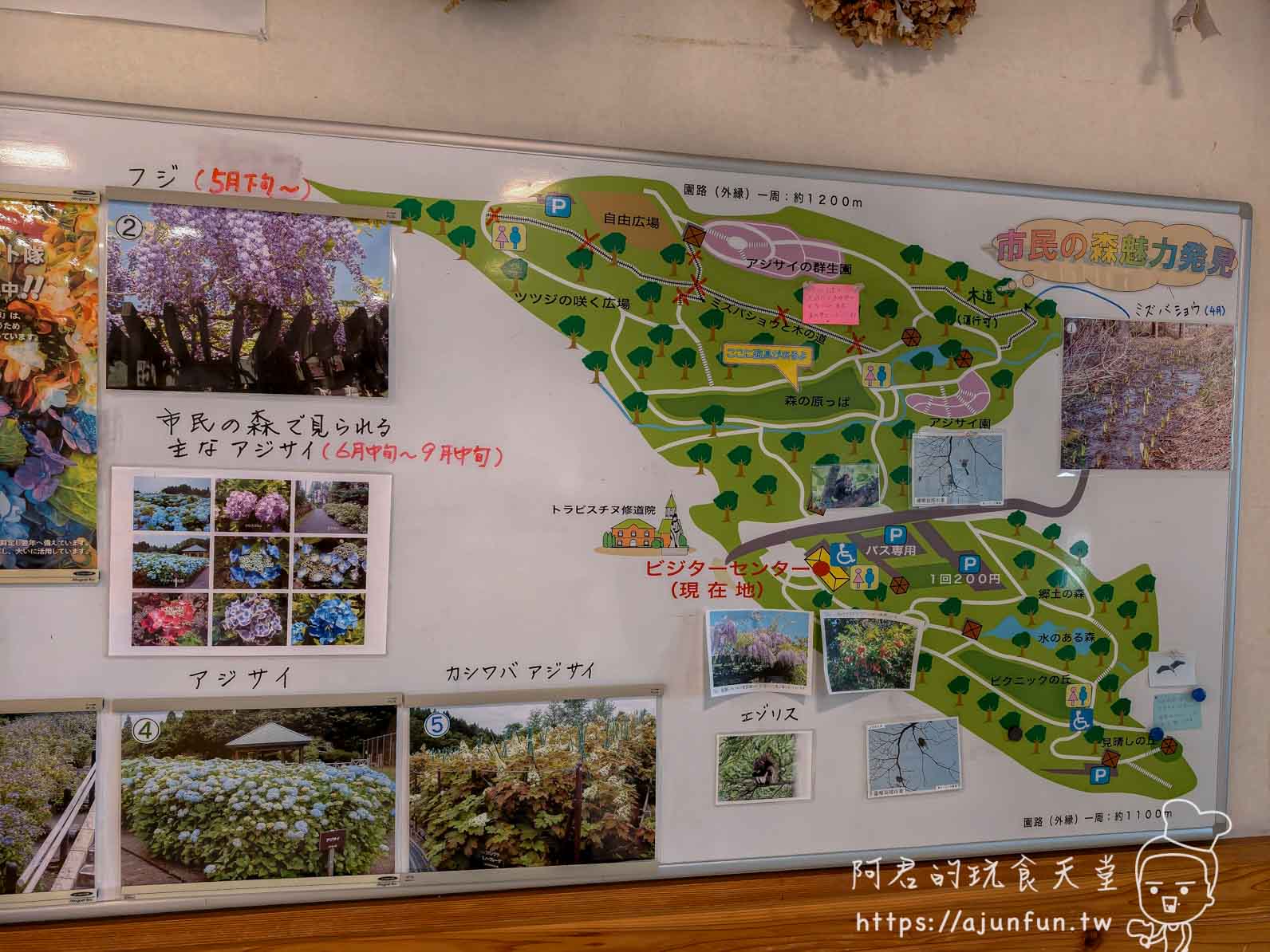 トラピスチヌ修道院 市民の森公園平面圖與アジサイ花期介紹看板 - 阿君的玩食天堂