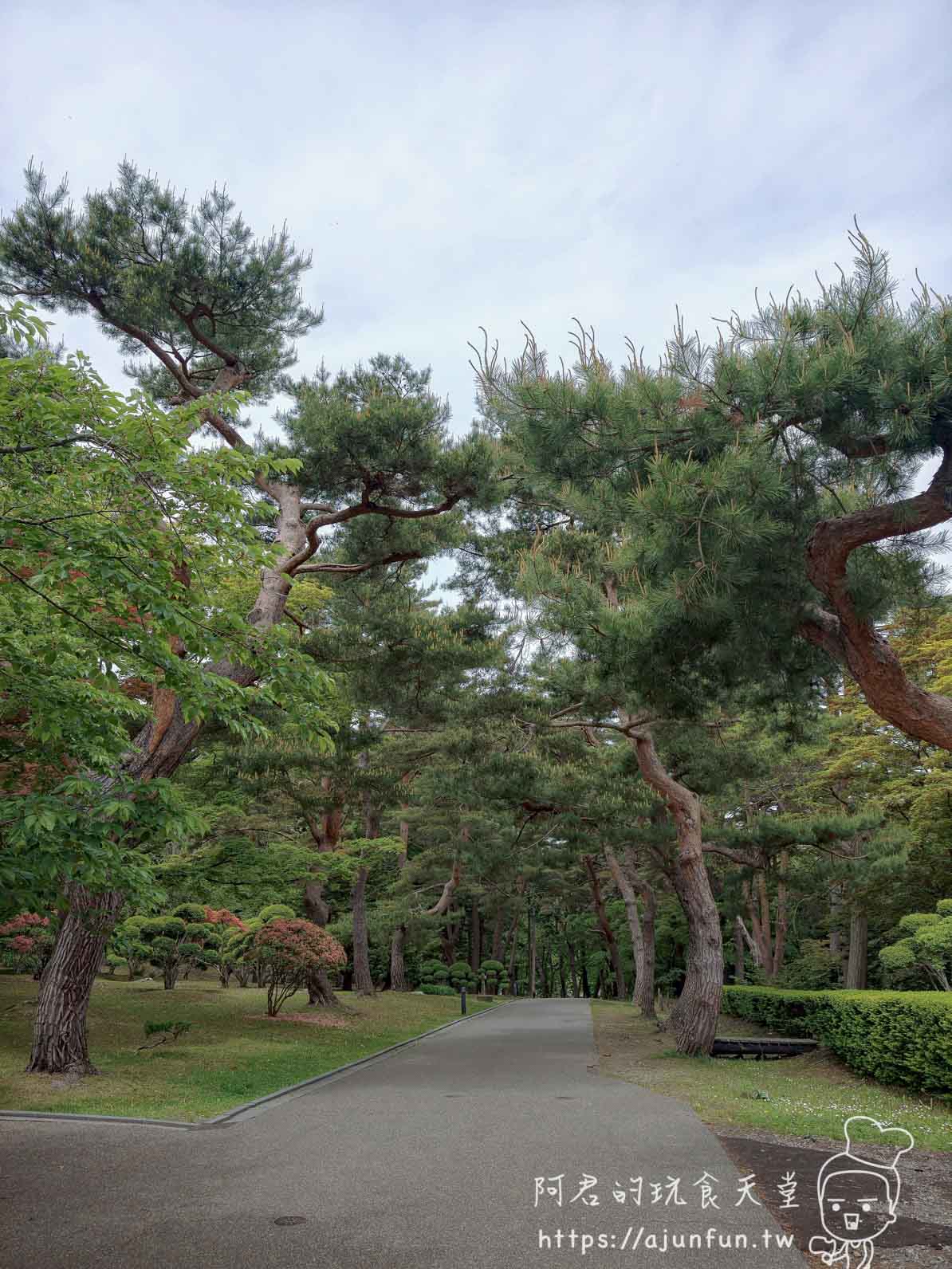 香雪園 松樹步道景致 - 阿君的玩食天堂