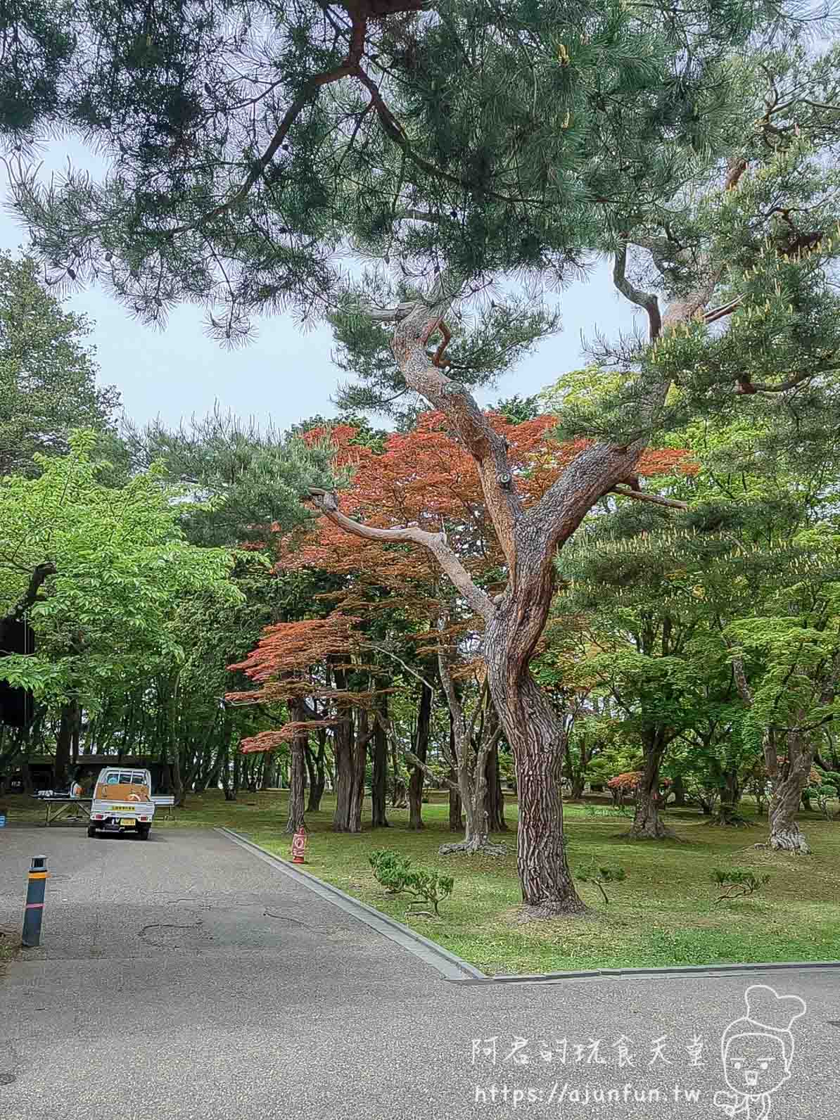 香雪園 庭園彎曲松樹與橙紅色楓樹景觀 - 阿君的玩食天堂