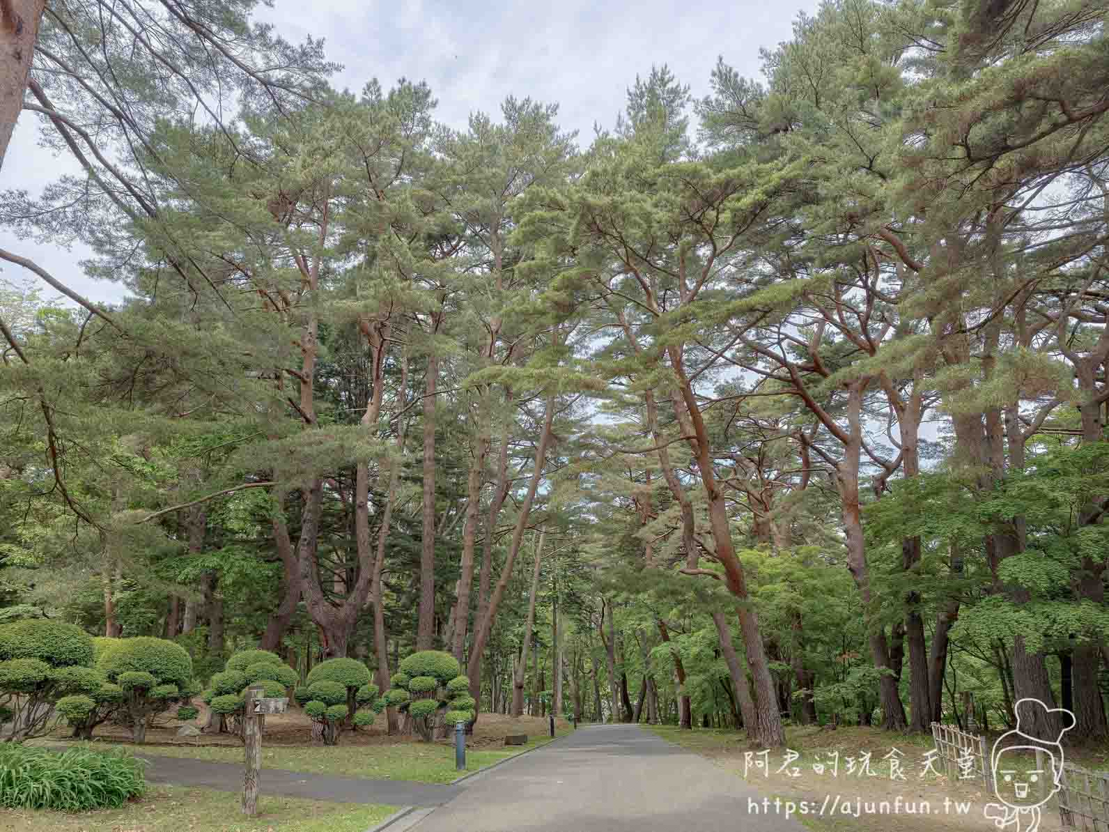 香雪園 松林步道與修剪灌木叢 - 阿君的玩食天堂