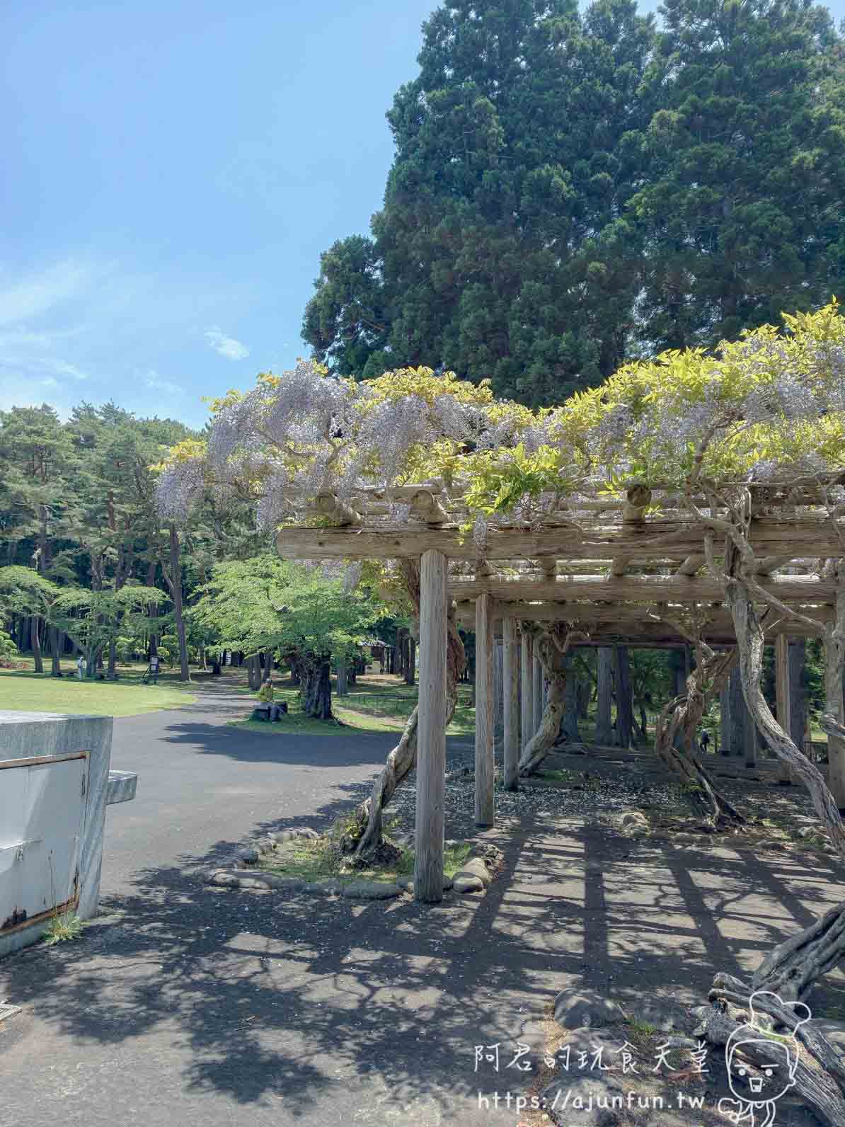 香雪園 木棚架垂掛紫藤花與庭園步道 - 阿君的玩食天堂