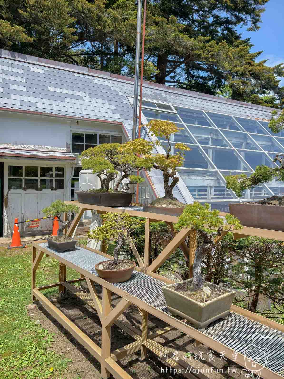 香雪園 玻璃溫室與戶外木架上的盆栽展示 - 阿君的玩食天堂